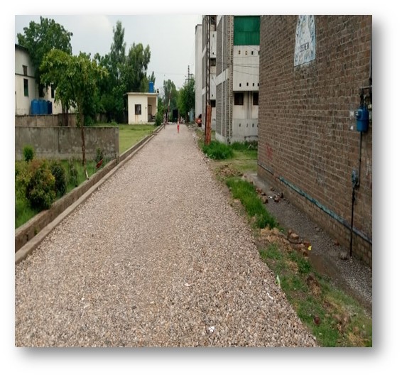 Site Development