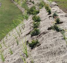 Slope Stabilization